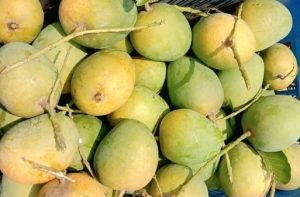 হিসসাগর আম
